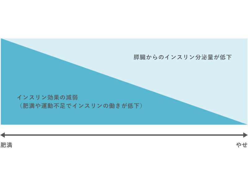 2型糖尿病の病態